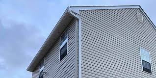 Best Vinyl Siding Installation  in Spring Hill, FL